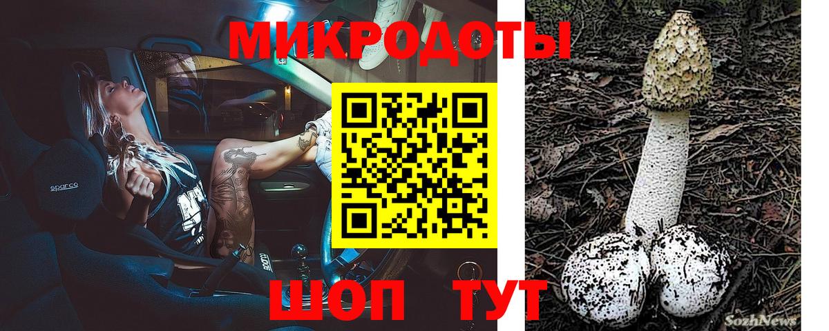 Галлюциногенные грибы Psilocybe  Вход с VPN  Новокуйбышевск 