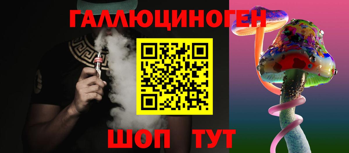 Псилоцибиновые грибы Psilocybe Новокуйбышевск